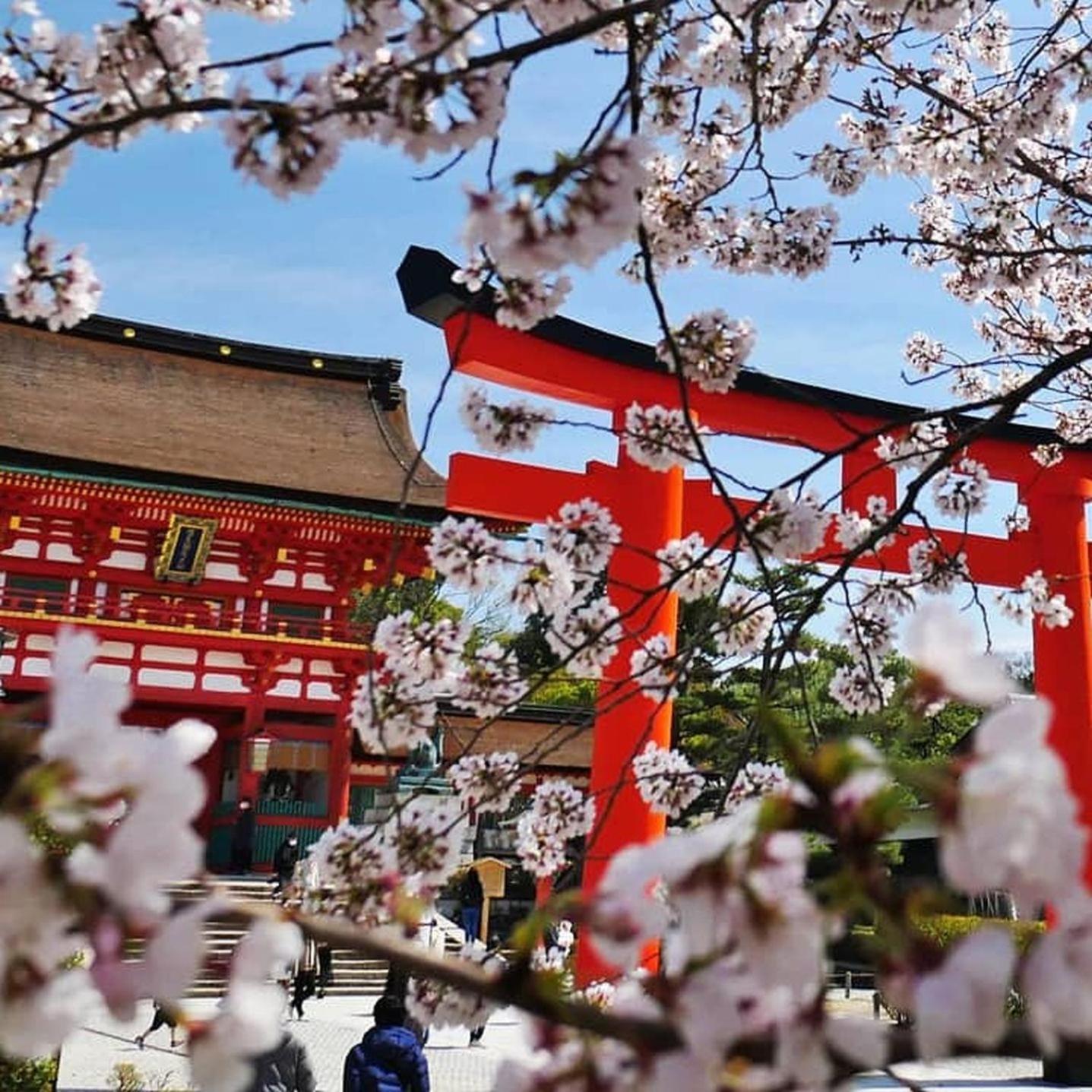 Kyoto Jujo 01 Apartment Ngoại thất bức ảnh
